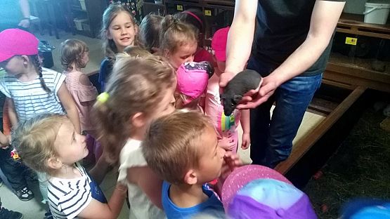 Grafika #4: Przedszkolaki w zoo egzotycznym