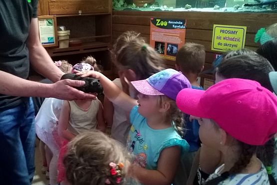 Grafika #5: Przedszkolaki w zoo egzotycznym