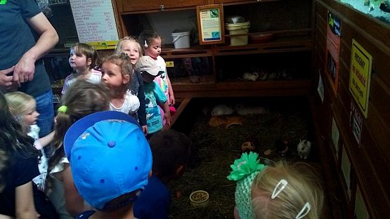 Grafika #6: Przedszkolaki w zoo egzotycznym