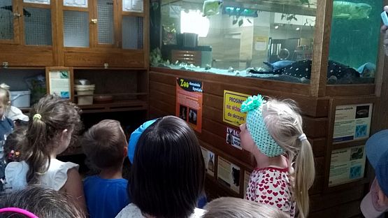 Grafika #7: Przedszkolaki w zoo egzotycznym