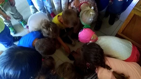 Grafika #8: Przedszkolaki w zoo egzotycznym