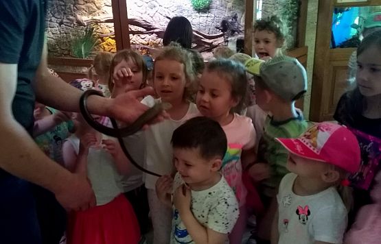 Grafika #9: Przedszkolaki w zoo egzotycznym