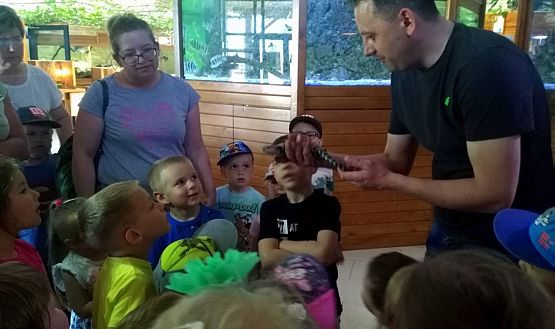 Grafika #10: Przedszkolaki w zoo egzotycznym