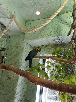 Grafika #4: WYCIECZKA DO ZOO.