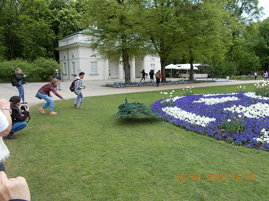 Grafika #11: Wycieczka do Warszawy klas VII