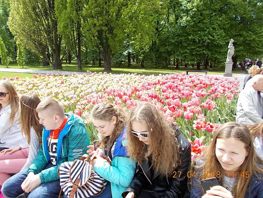 Grafika #29: Wycieczka do Warszawy klas VII