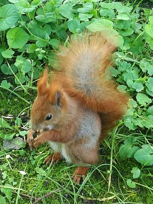 Grafika #29: Klasy drugie gimnazjum w Warszawie