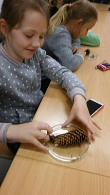 Grafika #11: Lekcja przyrody w Słowińskim Parku Narodowym kl. IIIa i IIIb