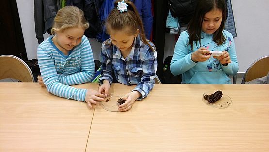 Grafika #12: Lekcja przyrody w Słowińskim Parku Narodowym kl. IIIa i IIIb