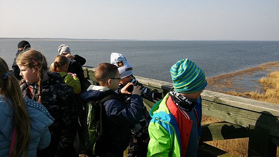 Grafika #17: Lekcja przyrody w Słowińskim Parku Narodowym kl. IIIa i IIIb