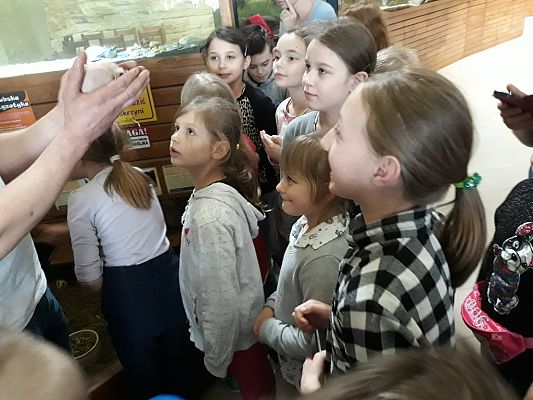 Grafika #2: Wycieczka do Tuchlina