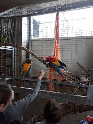 Grafika #5: Wycieczka do Tuchlina