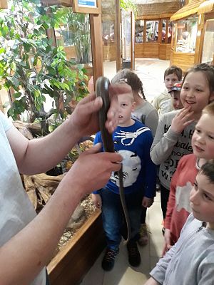 Grafika #10: Wycieczka do Tuchlina