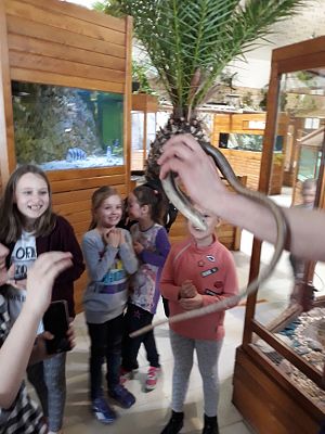 Grafika #11: Wycieczka do Tuchlina