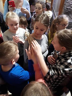 Grafika #15: Wycieczka do Tuchlina