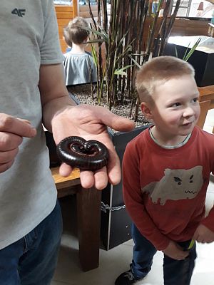 Grafika #21: Wycieczka do Tuchlina