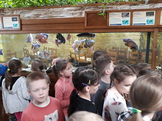 Grafika #22: Wycieczka do Tuchlina