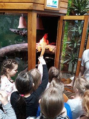 Grafika #23: Wycieczka do Tuchlina