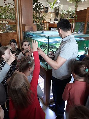 Grafika #3: Wycieczka do Tuchlina