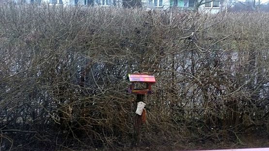 Grafika #5: Karmnik - ptasi bar