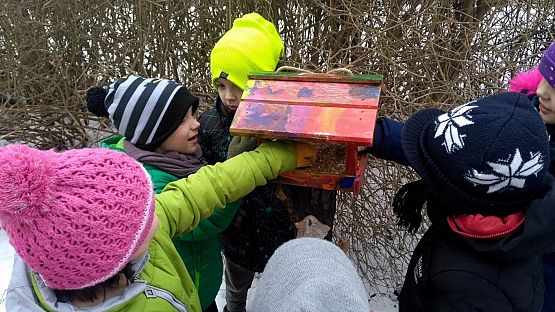 Grafika #6: Karmnik - ptasi bar