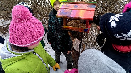 Grafika #7: Karmnik - ptasi bar