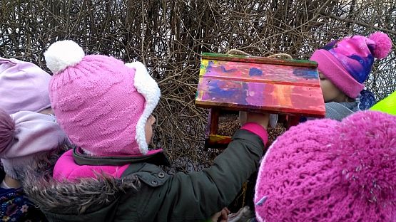 Grafika #8: Karmnik - ptasi bar