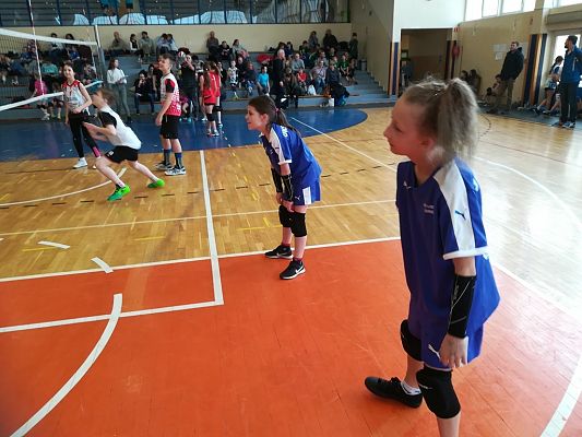 Grafika #15: Turniej minipiłki siatkowej w Starogardzie Gdańskim