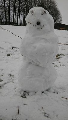 Grafika #0: Zabawy na śniegu