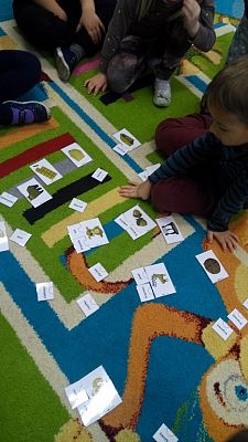 Grafika #2: Dzień brązowy u "Pszczółek"