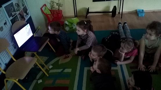 Grafika #5: Dzień brązowy u "Pszczółek"