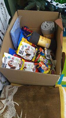 Grafika #0: Pomagamy zwierzętom