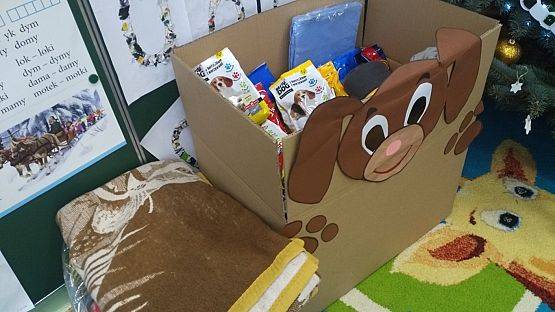 Grafika #1: Pomagamy zwierzętom