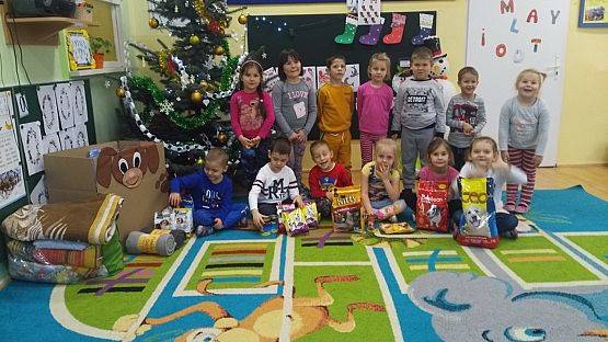 Grafika #2: Pomagamy zwierzętom