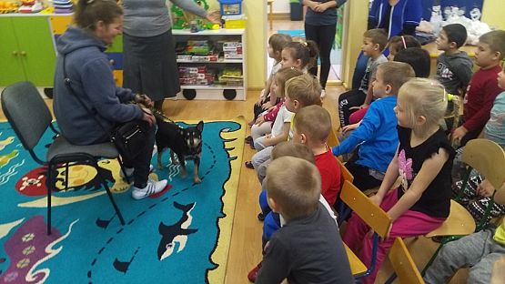 Grafika #6: Pomagamy zwierzętom