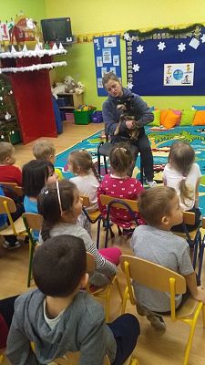 Grafika #9: Pomagamy zwierzętom