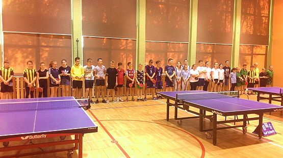 Grafika #0: Gminne zawody w tenisie stołowym
