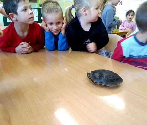 Grafika #0: Kochamy zwierzęta!