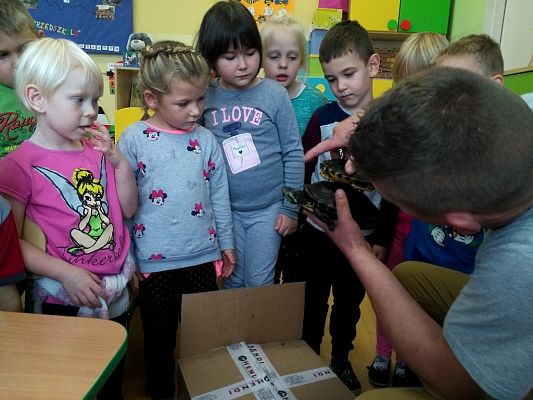 Grafika #1: Kochamy zwierzęta!