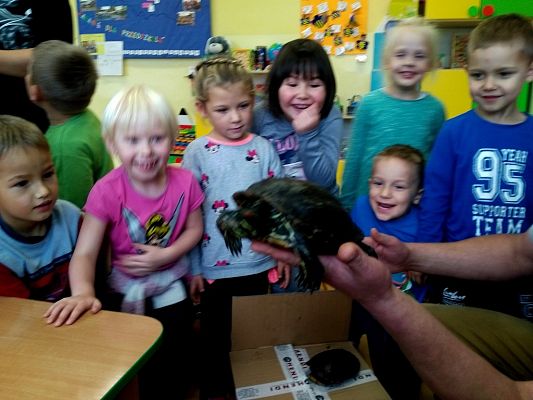 Grafika #2: Kochamy zwierzęta!