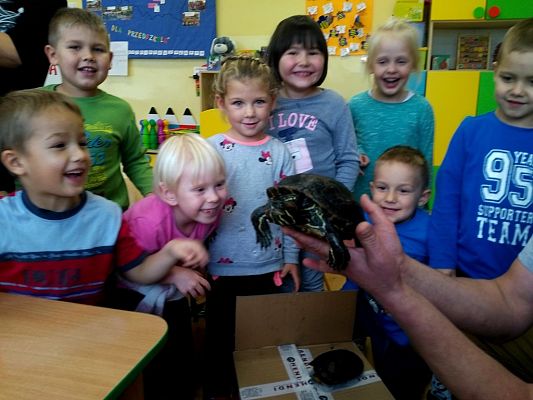 Grafika #3: Kochamy zwierzęta!