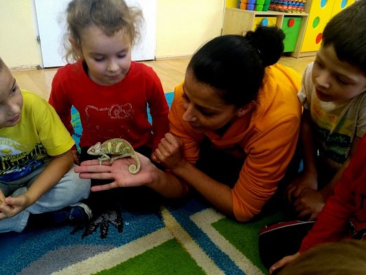 Grafika #4: Kochamy zwierzęta!