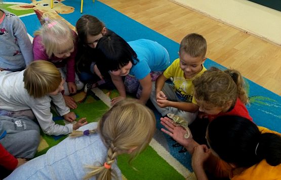 Grafika #5: Kochamy zwierzęta!