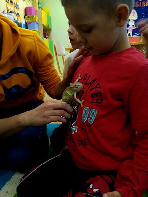 Grafika #6: Kochamy zwierzęta!