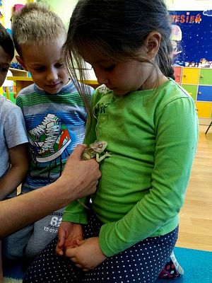 Grafika #7: Kochamy zwierzęta!