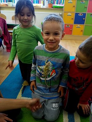 Grafika #8: Kochamy zwierzęta!