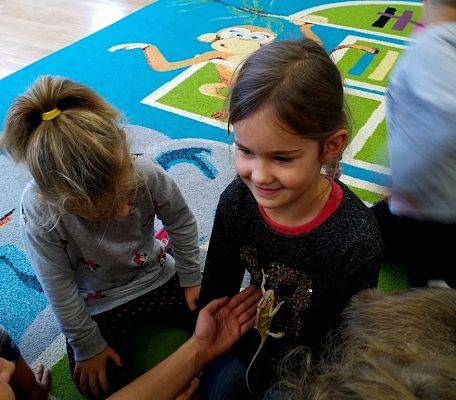 Grafika #11: Kochamy zwierzęta!