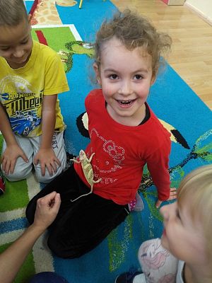 Grafika #12: Kochamy zwierzęta!