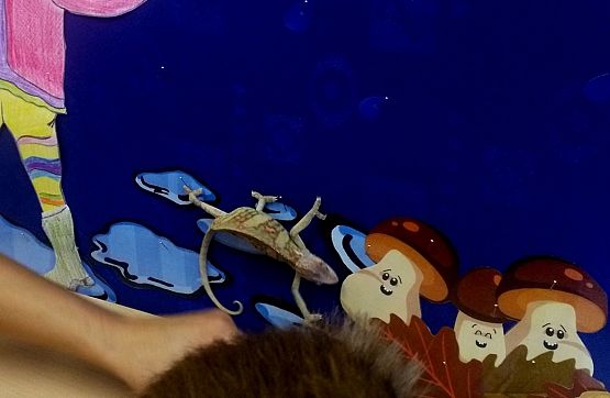 Grafika #17: Kochamy zwierzęta!