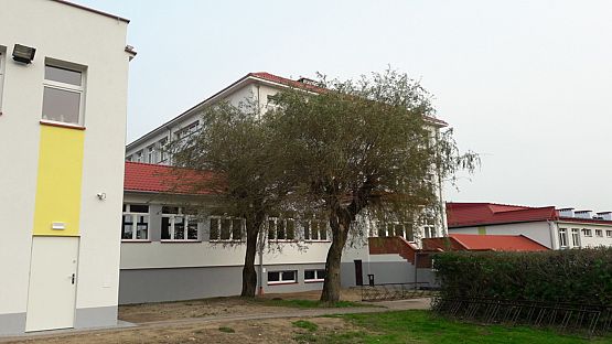 Grafika #19: Szkoła jak nowa po termomodernizacji